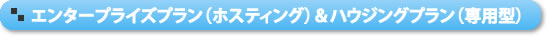 エンタープライズプラン(ホスティング)&ハウジングプラン(専用型)